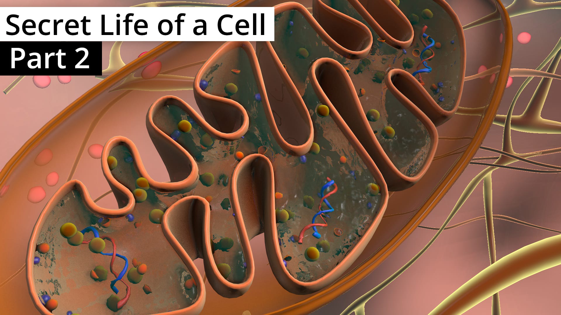 secret-life-of-a-cell-2
