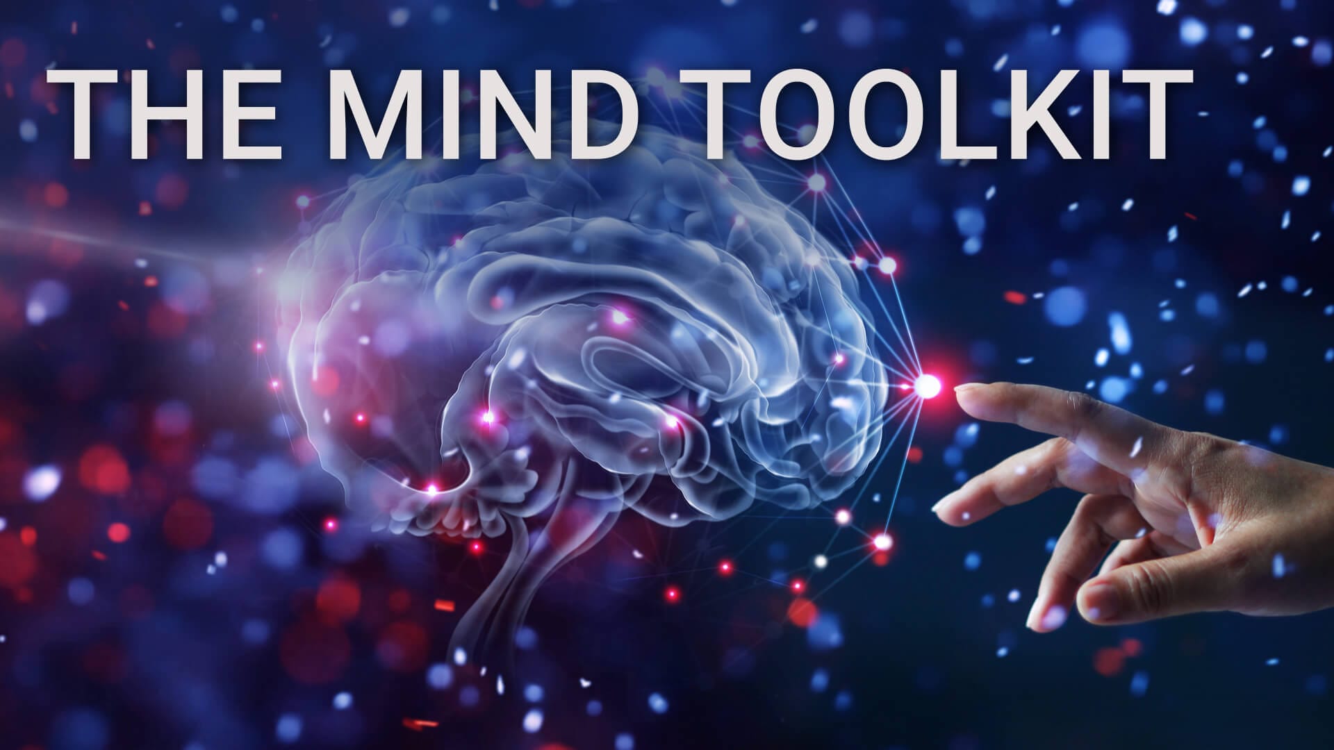 The Mind Toolkit